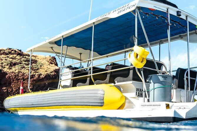 2.5 Hour Whale Escape Tour - Entering The Boat: Lahaina Check-In and the 2.5-Hour Pace