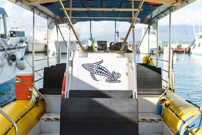2.5 Hour Whale Escape Tour - Comfort and Practical Details on the Water