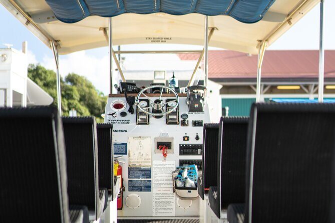 2.5 Hour Whale Escape Tour - Price and Value: What $177 Gets You