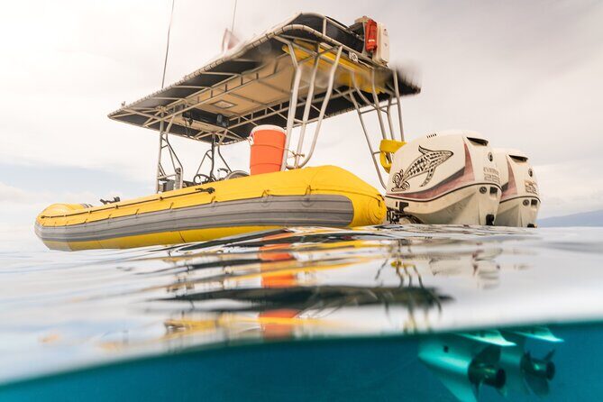 2.5 Hour Whale Escape Tour - Quick Planning Notes That Matter on Maui