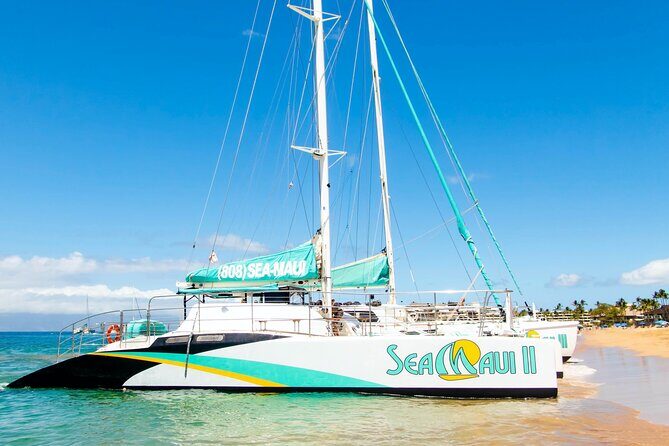 2.5 Hour Xpress Snorkel from Ka’anapali Beach - Practical Tips to Make Your Morning Easier