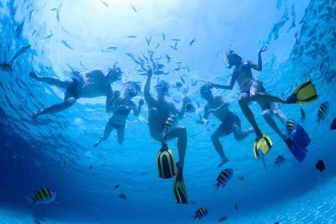 2.5 Hour Xpress Snorkel from Ka’anapali Beach - In-the-Water Reality: How Guides Keep It Fun and Safe