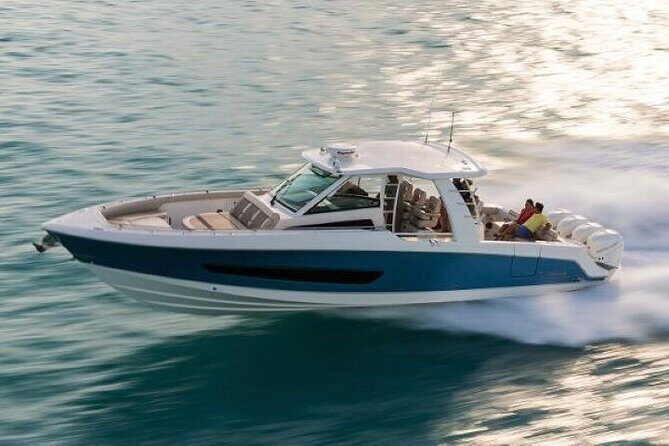 2-Hour Ma'alaea Humpback Whale Watching Cruise for up to 6 Guests - Whale behavior you may get to see in 2 hours