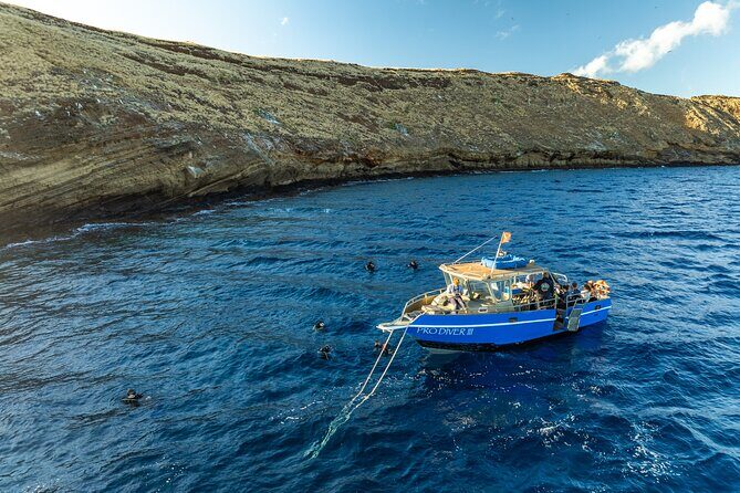 3-Tank Dive Featuring the Molokini Crater - Molokini Crater: Protected Water, Clear Odds, and Real Marine Life