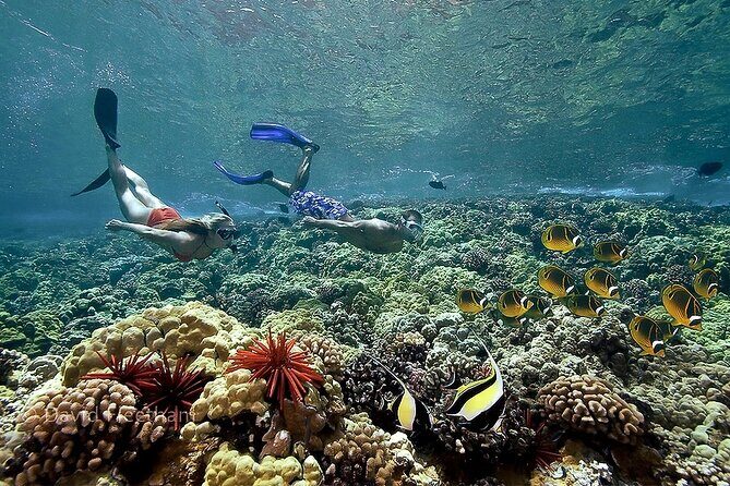 4-Hour Koa Kai Molokini Adventure Snorkel - The Backwall, La Perouse Bay, and Coral Gardens: How Stops Get Chosen