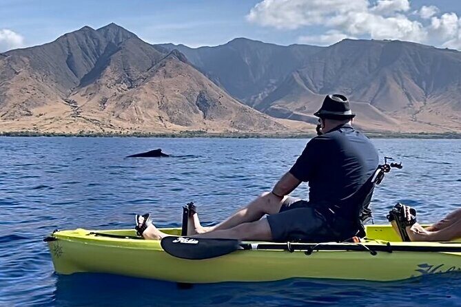4 hour Private Custom Kayak Tour Lahaina - Bottom Fishing for Dinner Plans (And a Fun Family Moment)