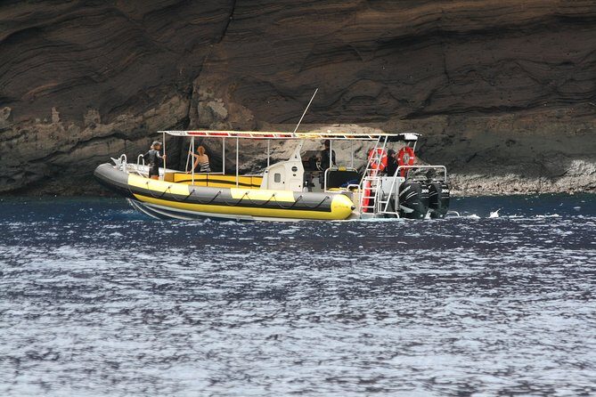 5 Hour Molokini Snorkel & Turtle Tour in Maui - Key things that make this tour a standout