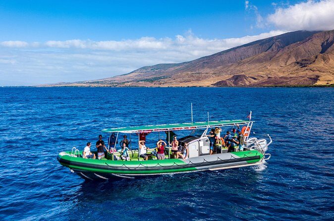 Afternoon Adventure Snorkel from Ka'anapali - Reef highlights in West Maui: turtles, coral, and fish you can actually spot