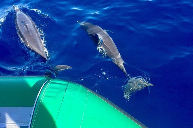 Afternoon Adventure Snorkel from Ka'anapali - Price and value: what $136.32 buys you in real terms