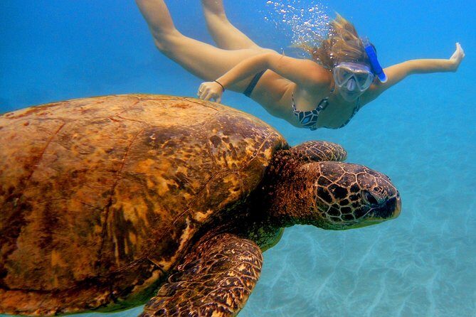 Afternoon Adventure Snorkel from Ka'anapali - Getting aboard: three stairs, wet feet, and realistic expectations