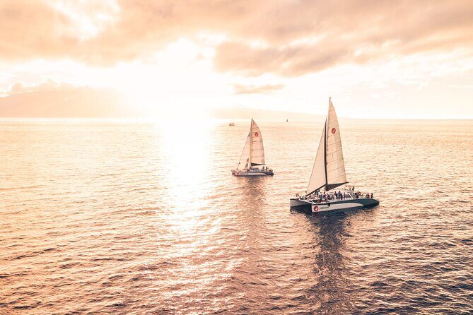 'Alihilani Sunset Sail from Ma'alaea Harbor - Humpback Chances in Dec–May: How to Plan for Whale Season
