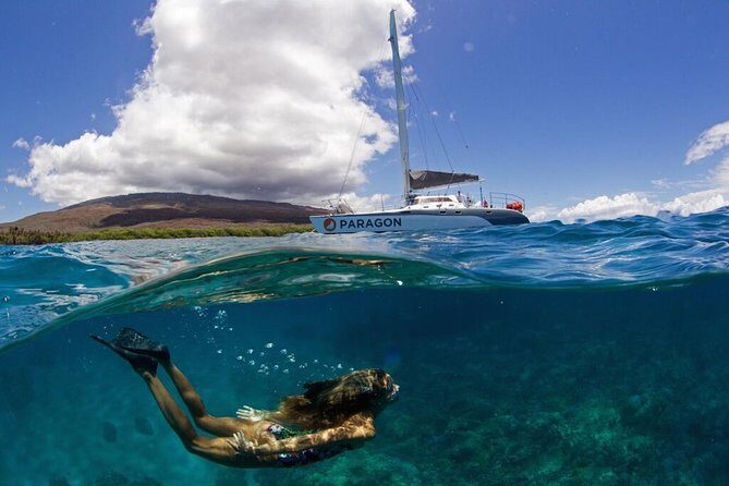 Coral Gardens Coastal Snorkel & Sail - Why This Sail Feels Like a Pick-Your-Own Day on Maui