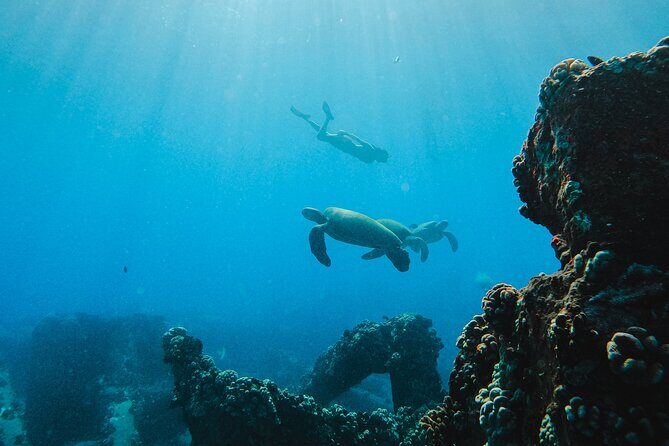 Coral Gardens Coastal Snorkel & Sail - Lunch, Drinks, and the Reef-Safe Advantage