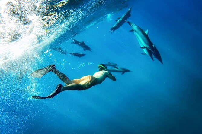 Coral Gardens Coastal Snorkel & Sail - Coral Gardens Stop: How the Crew Chooses the Best Conditions