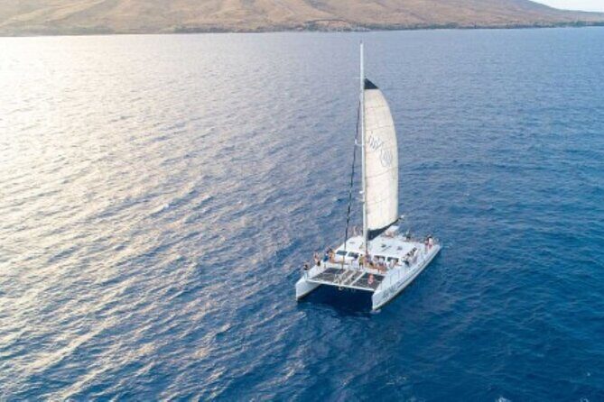 Day's End Cocktail Sunset Sail - Key highlights worth booking for