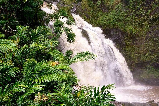 Deluxe Halfway to Hana: Private Tour from Kahului - Rainforest Walks, Native Village Culture, and the Waterfall Swim Option