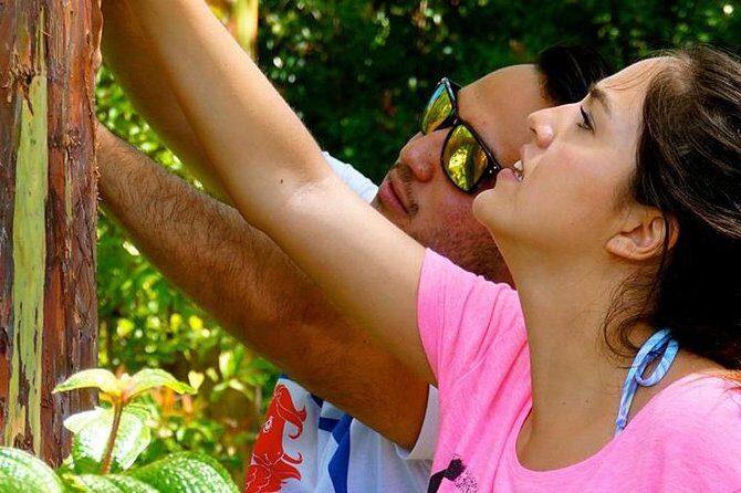 Deluxe Halfway to Hana: Private Tour from Kahului - Your Guide Makes the Day: Kea, Gus, Joe, Ana, and Jasmine