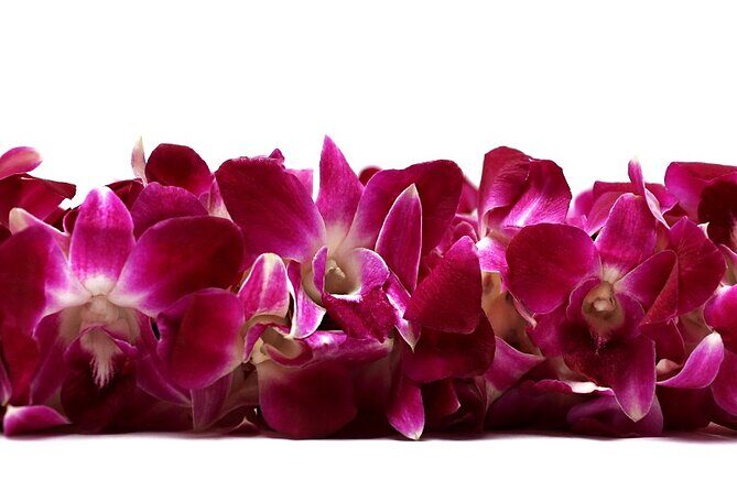 Deluxe Orchid Lei Greeting (Maui, Kahului Airport, OGG) - Key Things That Matter Before You Go
