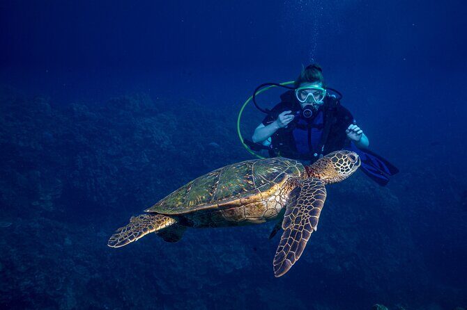 Discover Scuba Diving Class from Lahaina - Key things I’d watch for before you book
