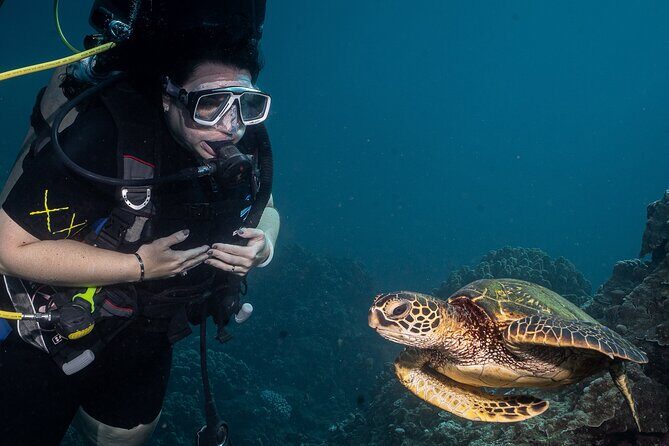 Discover Scuba Diving Class from Lahaina - The 3-hour flow: how your time usually goes