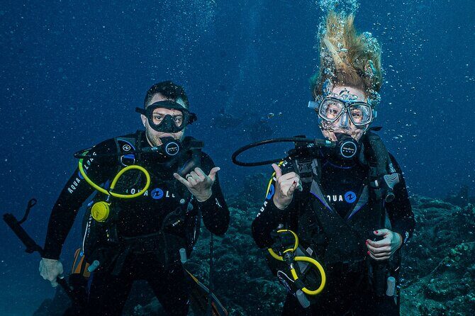 Discover Scuba Diving Class from Lahaina - Maui underwater payoff: turtles, sharks, reefs, and a wreck