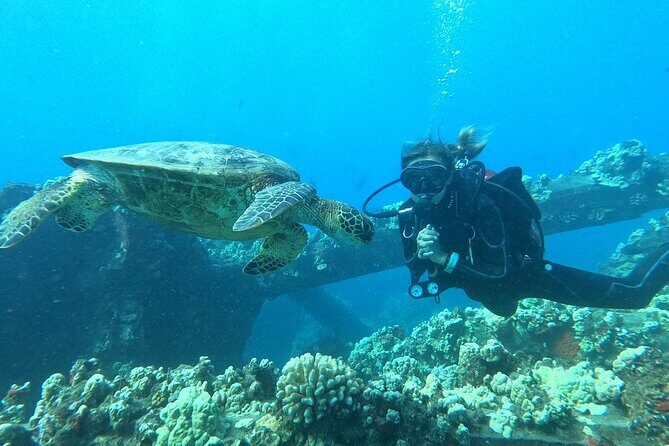Discover Scuba Diving Class from Lahaina - PADI eLearning: the prep that actually makes or breaks it