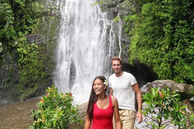 Epic Waterfall Adventure, the Best of Maui - Waterfall time: swim, sunbathe, and pick your thrill level