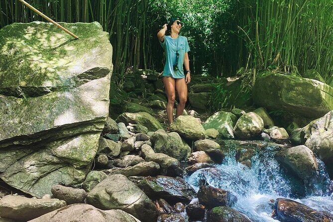 Epic Waterfall Adventure, the Best of Maui - Guides that set the tone: humor, stories, and photo moments
