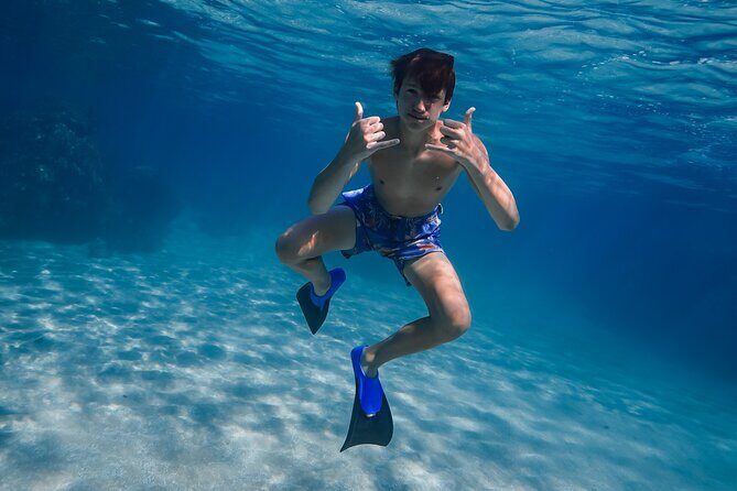 First Timers and Non-Swimmers Snorkeling Experience in Wailea - Photos and video: how to get a souvenir without sticker shock