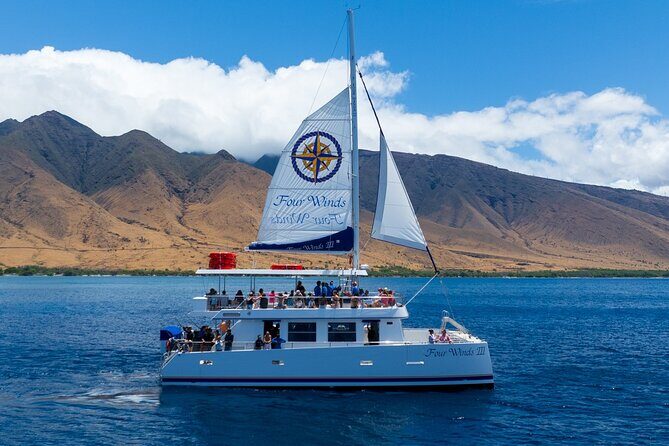 Four Winds Maui Afternoon Snorkel Tour to Coral Gardens - Who this snorkel tour is best for