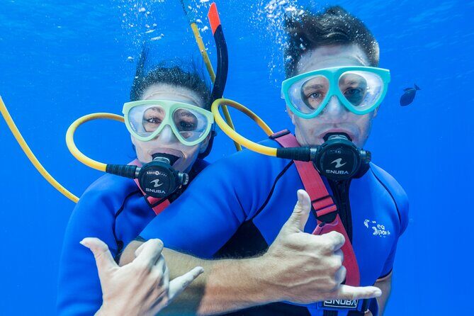 Four Winds Maui Afternoon Snorkel Tour to Coral Gardens - Two reef stops: Four Winds plus Coral Gardens