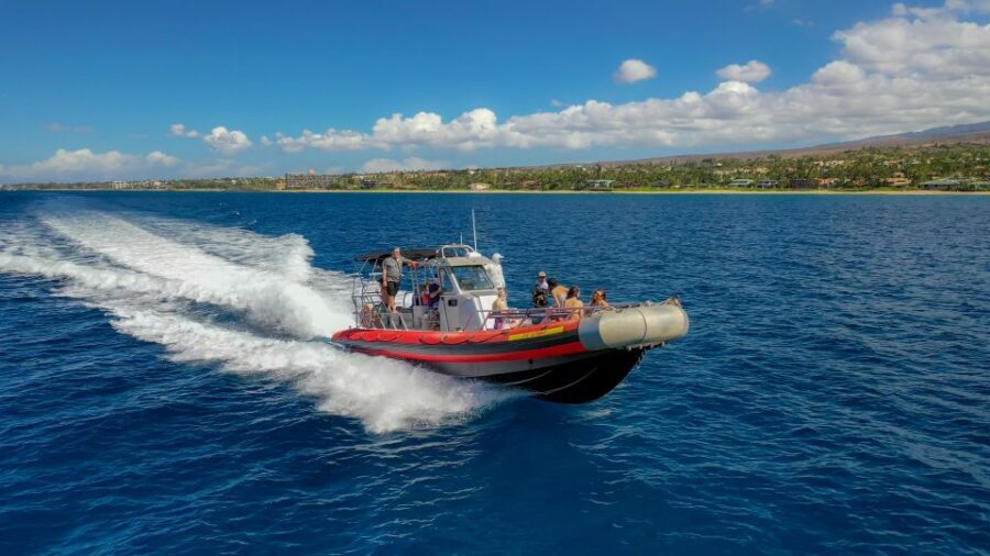 From Kihei: Molokini Snorkel 2-Hour Adventure - Makena Bay Whale-Watching Stop: What You’re Looking For