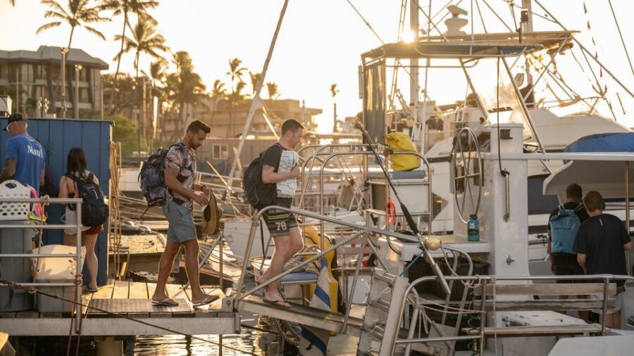 From Ma'alaea: Afternoon Whale Watch Tour Aboard the Malolo - The Crew’s Role on Board and How Their Tips Pay Off
