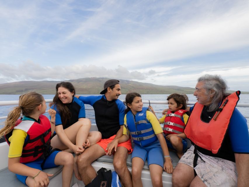 From Ma'alaea: Afternoon Whale Watch Tour Aboard the Malolo - Price, Seasonality, and When the Odds Get Better