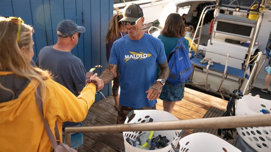 From Ma'alaea: Afternoon Whale Watch Tour Aboard the Malolo - Two Hours of Whale Spotting: What to Watch for on the Surface