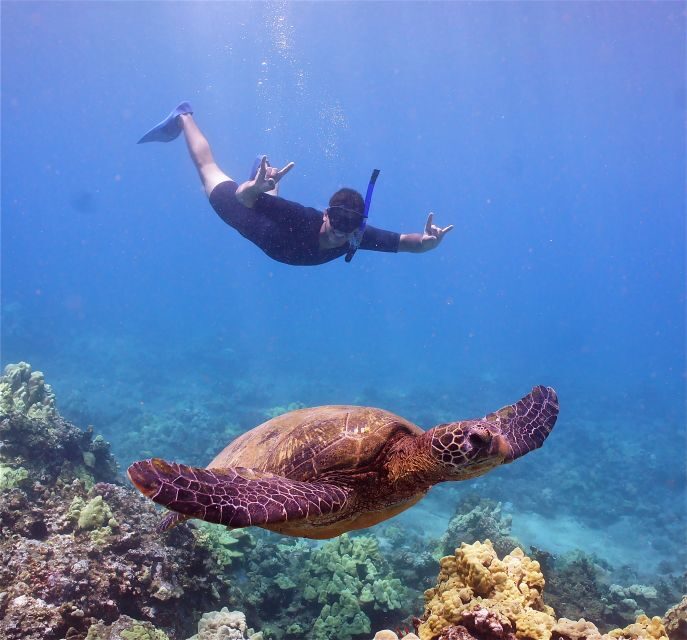 From Ma'alaea: AM Turtle Town Snorkel Aboard Quicksilver - Boarding the boat: snorkeling gear, lifeguards, and real comfort