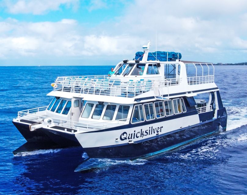 From Ma'alaea: AM Turtle Town Snorkel Aboard Quicksilver - Cruising out of Ma‘alaea: dolphins, whales, and island views