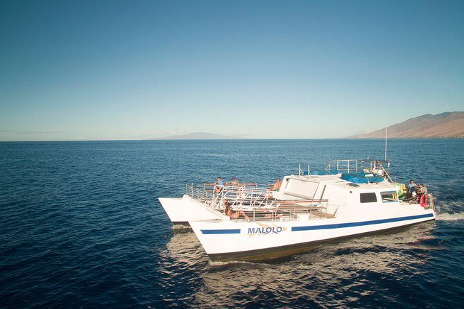 From Ma'alaea Harbor: Whale Watch Cruise Aboard the Malolo - On-Board Comfort: Shade, Restrooms, and the Drink Situation