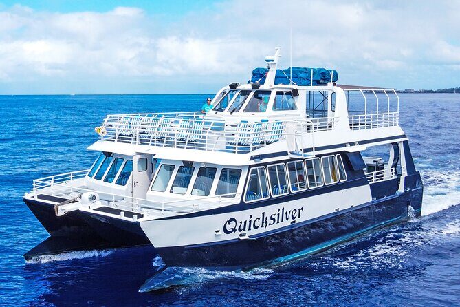 From Maalaea: Whale Watching Tour Aboard the Quicksilver - Key points before you go