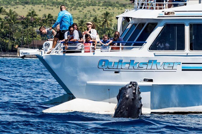 From Maalaea: Whale Watching Tour Aboard the Quicksilver - Getting out fast on the Quicksilver catamaran