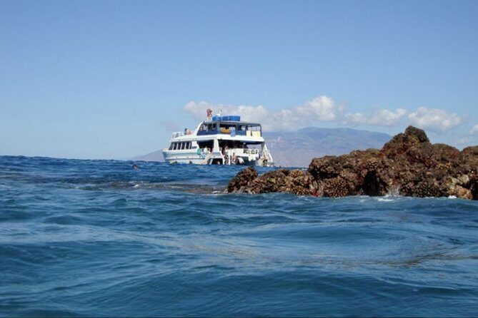 From Maalaea: Whale Watching Tour Aboard the Quicksilver - Price and value: is $59.95 the right deal?