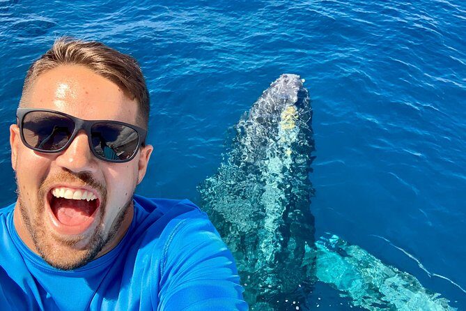 From Maalaea: Whale Watching Tour Aboard the Quicksilver - Parking at Maui Harbor: the one instruction people miss