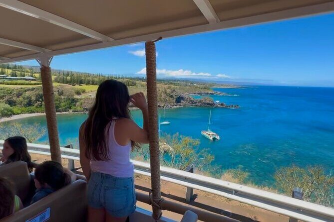 Fun! Open-Air Banyan Tree Forest & Blowhole Sight-Seeing MauiTour - Honolua Bay Lookout: coastal beauty with a calmer feel