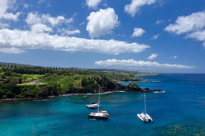 Fun! Open-Air Banyan Tree Forest & Blowhole Sight-Seeing MauiTour - Coffee Farms Overlook and Kapalua: the built-in “scenic credits”