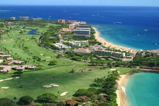 Fun! Open-Air Banyan Tree Forest & Blowhole Sight-Seeing MauiTour - Driver-guides and the storytelling that makes it feel worth $99
