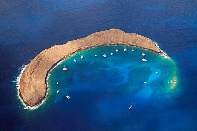 Half-Day Deluxe Molokini Snorkel Excursion in Maui - Wildlife Photos and That One Small Catch: How to Get Your Images