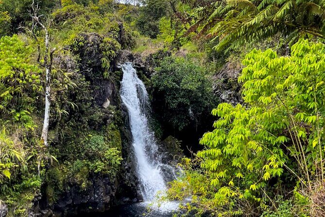 Half Day Private VIP Road to Hana Tour - Who is this half-day VIP tour best for?