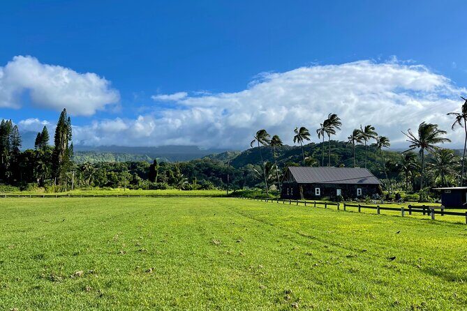 Half Day Private VIP Road to Hana Tour - What you’ll spend: does $599 per person feel like value?