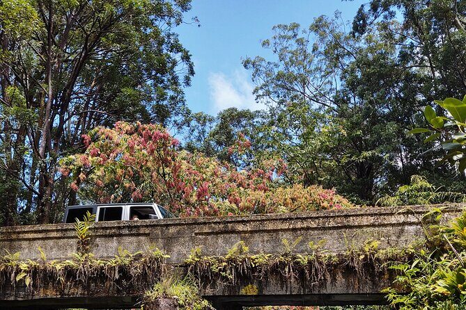 Halfway to Hana Tour of Maui Black Sand Beach Waterfalls Turtles - The stops that make the drive worth it
