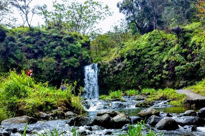 Halfway to Hana Tour of Maui Black Sand Beach Waterfalls Turtles - Meet-up in Kahului and the day’s basic rhythm